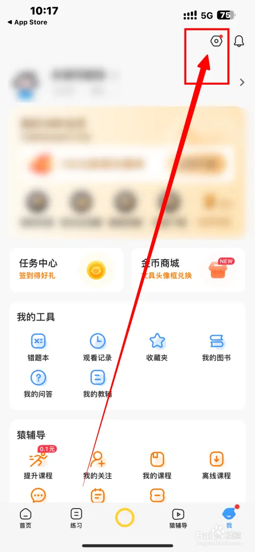 xyst22.webp