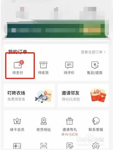 dt11.webp