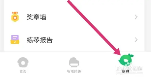 yz11.webp