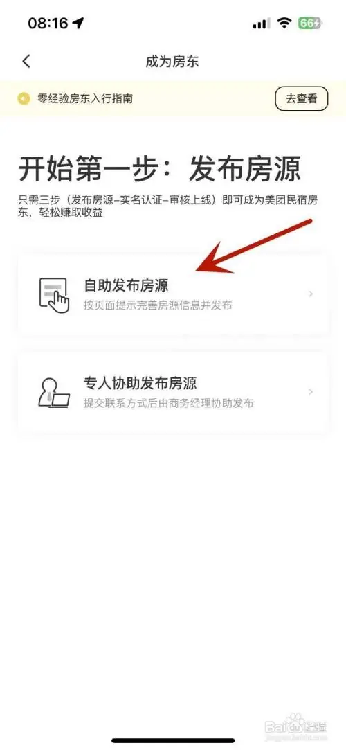 mt33.webp