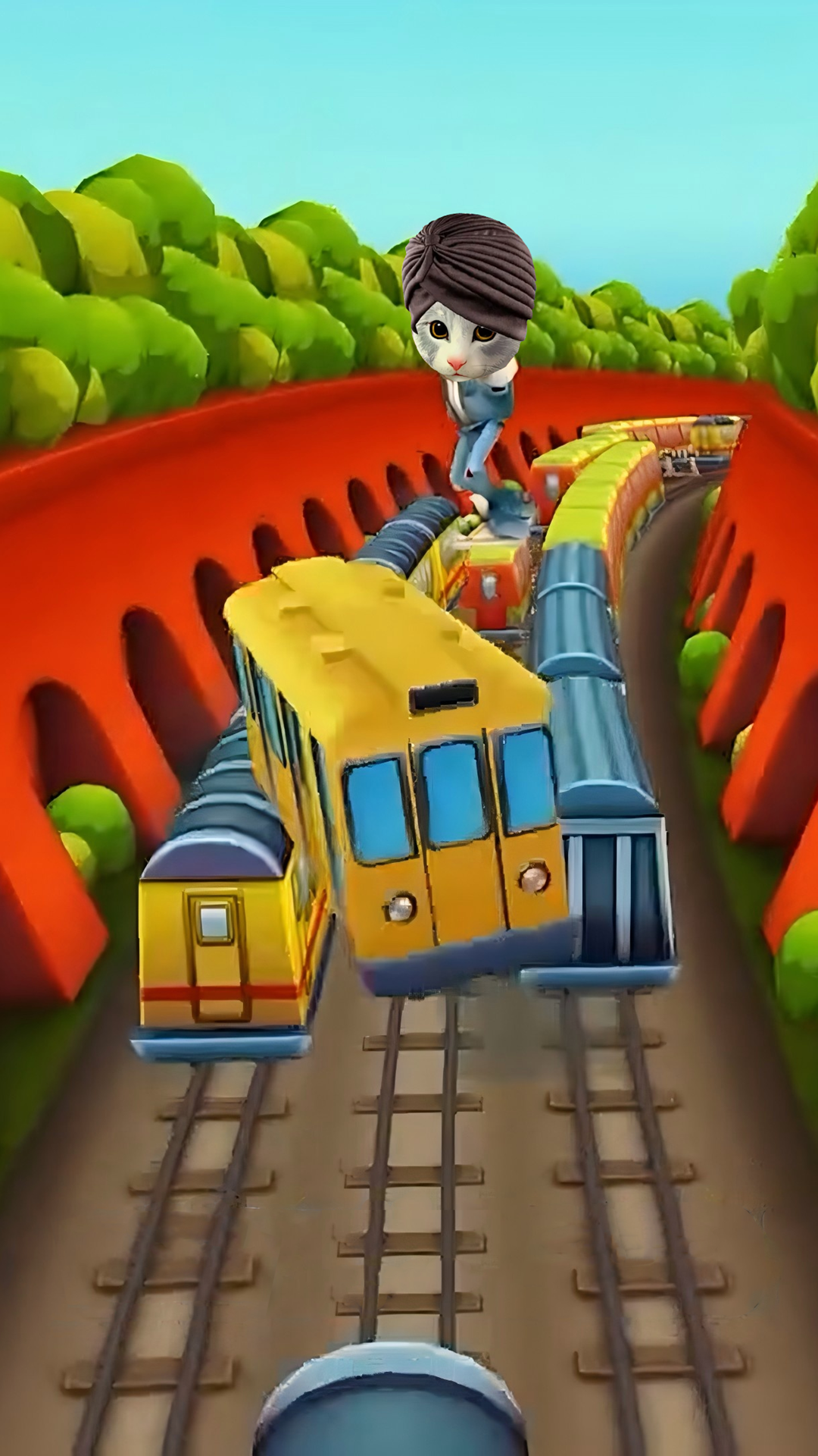 dt1.png