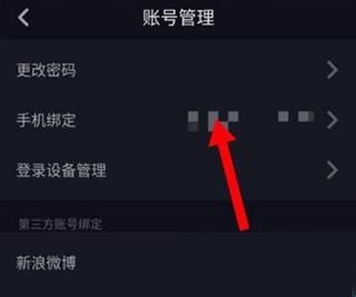 抖音精简版apk手表版