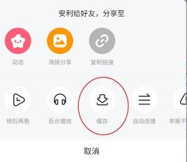 acfun轻量版