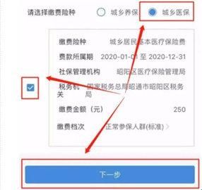 云南税务2024最新版