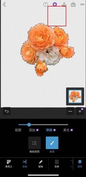 PScc2019手机版v9.9.9汉化版