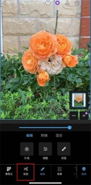 PScc2019手机版v9.9.9汉化版