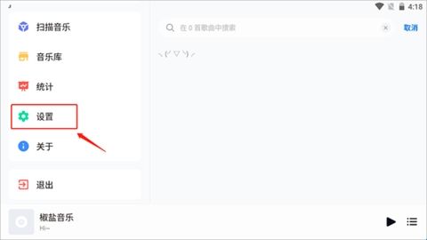 椒盐音乐车机版(Salt Player)