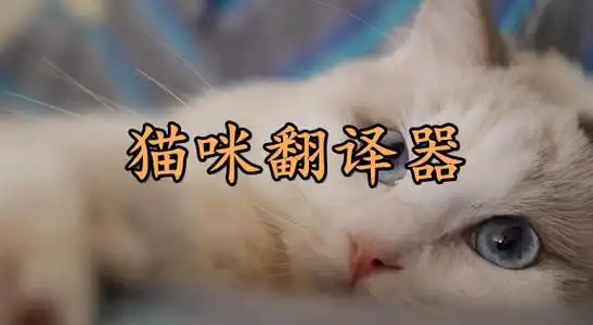 可以翻译猫语的软件APP推荐