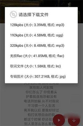 QMD2024最新版