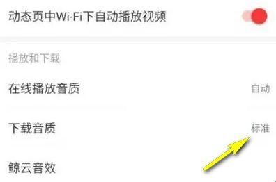 网易云音乐荣耀定制版1.0.22版