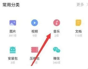 网易云音乐荣耀定制版1.0.22版
