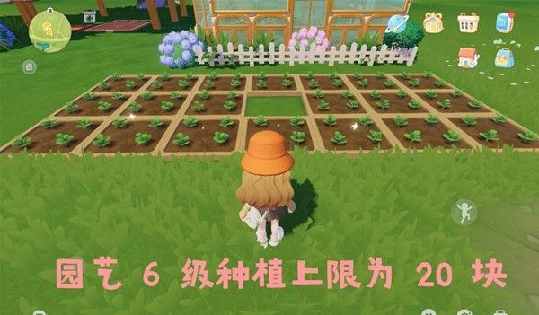 心动小镇农作物售价及利润介绍