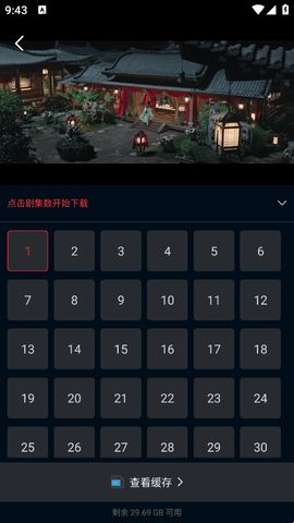 海鸥影评免费版