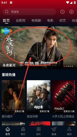 海鸥影评免费版