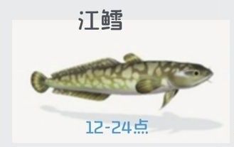 心动小镇江鳕钓取地点说明 心动小镇江鳕在哪钓
