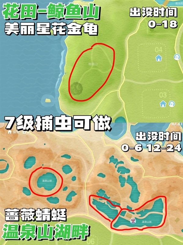 心动小镇彩虹天捕虫指南