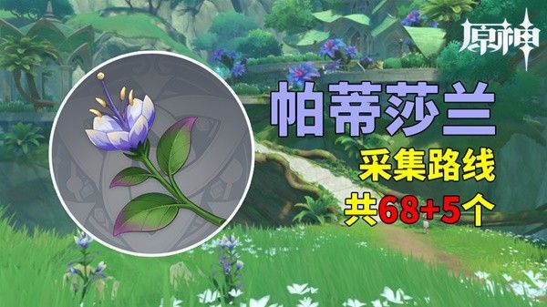 原神4.8帕蒂莎兰采集路线分享 妮露突破材料获取