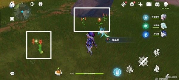 《原神》风车菊采集路线推荐 原神风车菊位置一览