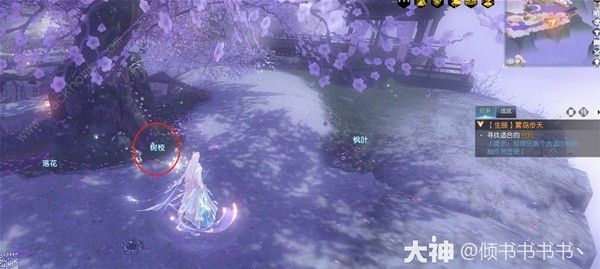 逆水寒叶问舟生辰同游奇遇任务通关攻略