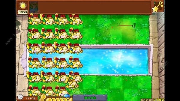 植物大战僵尸杂交版2.2版本加强植物大全介绍
