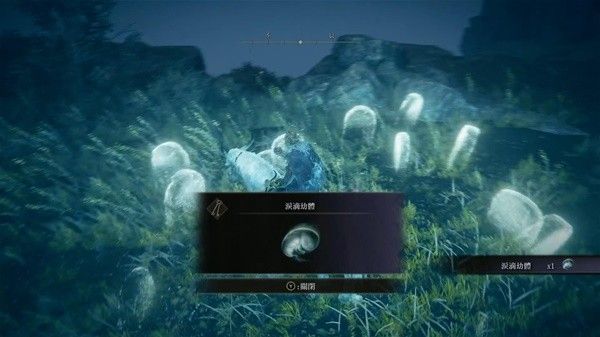 艾尔登法环黄金树之影DLC幼体泪滴及神庙位置整理
