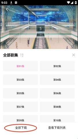 鸭梨鸭梨动漫
