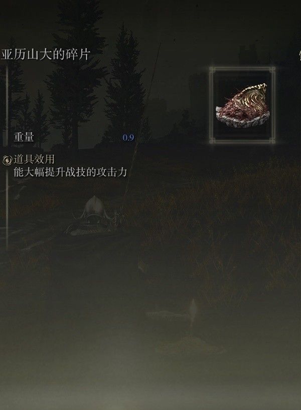 艾尔登法环DLC火焰骑士大剑配装攻略