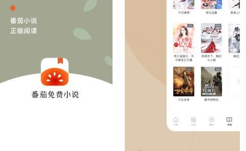 番茄免费小说手机版