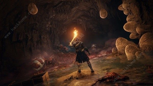 艾尔登法环DLC癫火之王无伤打法技巧
