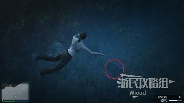 《GTAOL》全海底迷幻仙人掌位置分享 水下仙人掌在哪
