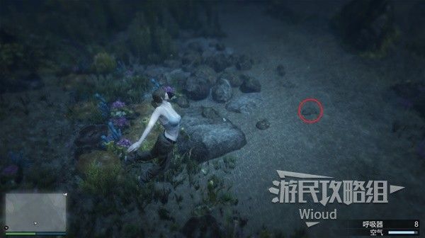 《GTAOL》全海底迷幻仙人掌位置分享 水下仙人掌在哪