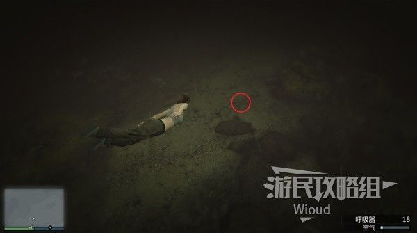 《GTAOL》全海底迷幻仙人掌位置分享 水下仙人掌在哪