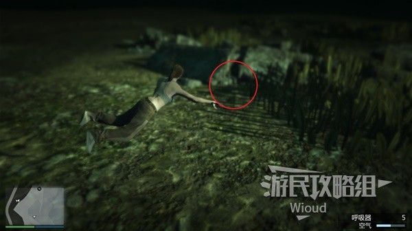 《GTAOL》全海底迷幻仙人掌位置分享 水下仙人掌在哪
