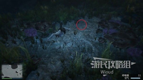 《GTAOL》全海底迷幻仙人掌位置分享 水下仙人掌在哪