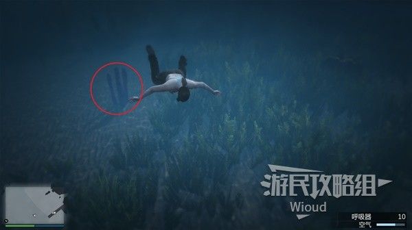 《GTAOL》全海底迷幻仙人掌位置分享 水下仙人掌在哪