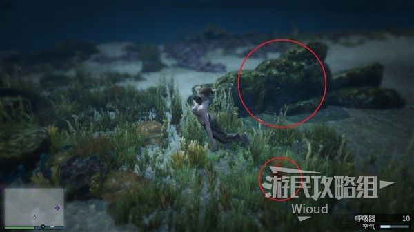《GTAOL》全海底迷幻仙人掌位置分享 水下仙人掌在哪