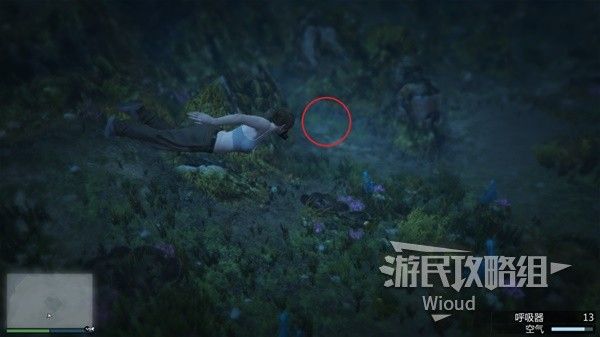 《GTAOL》全海底迷幻仙人掌位置分享 水下仙人掌在哪