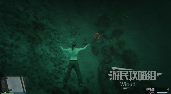 《GTAOL》全海底迷幻仙人掌位置分享 水下仙人掌在哪
