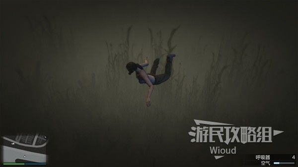 《GTAOL》全海底迷幻仙人掌位置分享 水下仙人掌在哪