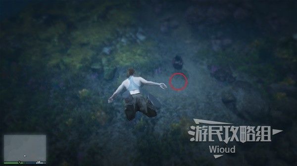 《GTAOL》全海底迷幻仙人掌位置分享 水下仙人掌在哪