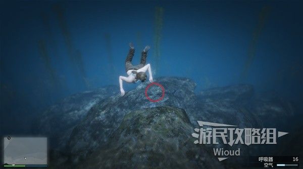 《GTAOL》全海底迷幻仙人掌位置分享 水下仙人掌在哪