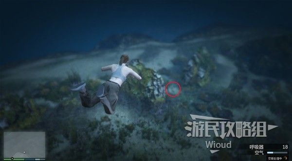 《GTAOL》全海底迷幻仙人掌位置分享 水下仙人掌在哪