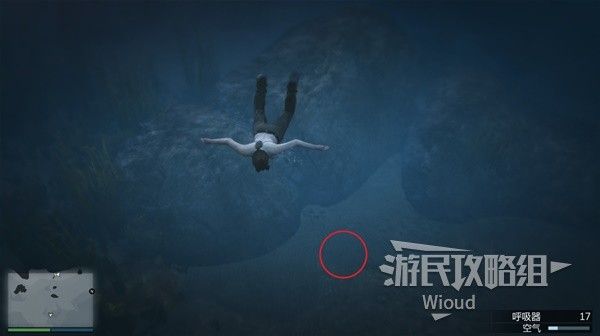 《GTAOL》全海底迷幻仙人掌位置分享 水下仙人掌在哪