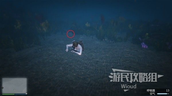 《GTAOL》全海底迷幻仙人掌位置分享 水下仙人掌在哪