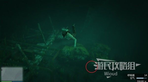《GTAOL》全海底迷幻仙人掌位置分享 水下仙人掌在哪
