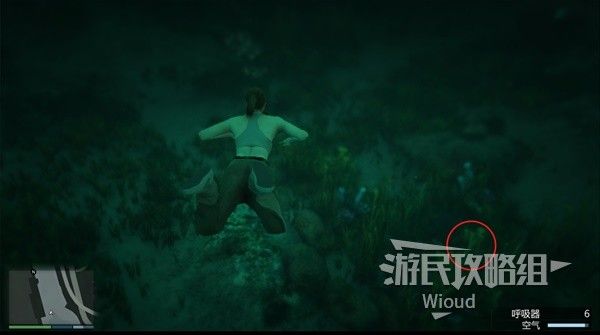 《GTAOL》全海底迷幻仙人掌位置分享 水下仙人掌在哪