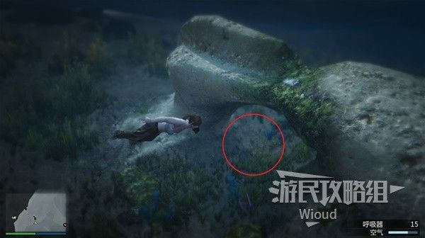 《GTAOL》全海底迷幻仙人掌位置分享 水下仙人掌在哪