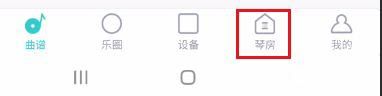 恩雅音乐调音器软件下载