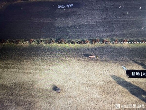 庄园领主怎么种田比较好