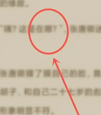 番茄小说手表版官方版